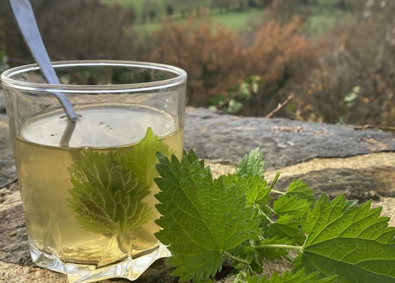 Rendez-Vous Nature en Anjou  : L&rsquo;art des tisanes