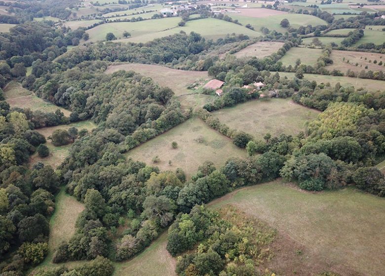 Rendez-vous Nature en Anjou : Une réserve, ça se préserve