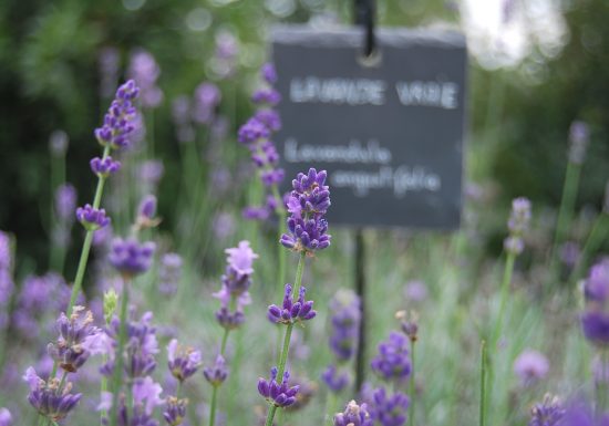 Atelier « L&rsquo;entretien de sa maison au naturel »