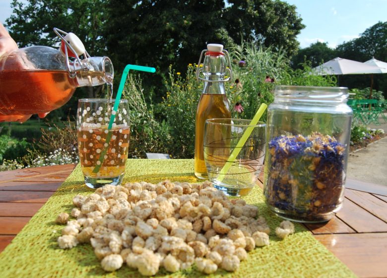 Atelier Limonades et Sirops