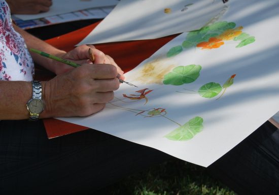 Atelier « Dessiner son herbier » au Jardin Camifolia