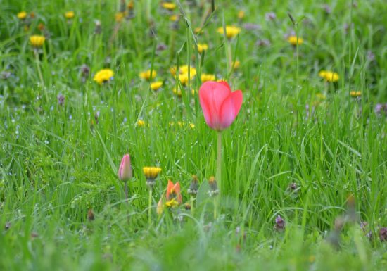 Randonnée « La croix Bourreau, la Brosse et l’Aunay Gontard »