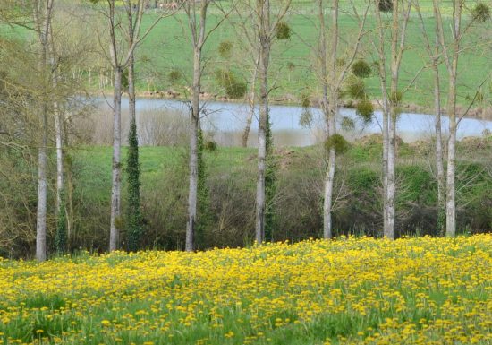 Randonnée « La croix Bourreau, la Brosse et l’Aunay Gontard »