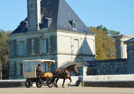 Balades à cheval, poney ou en calèche dans la vallée de la Loire et les côteaux avec l&rsquo;assoication A quatre temps