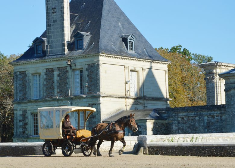 Balades à cheval, poney ou en calèche dans la vallée de la Loire et les côteaux avec l&rsquo;assoication A quatre temps