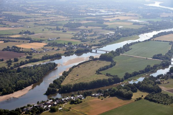 Ile de Chalonnes