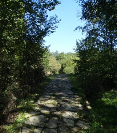 Randonnée « De Saint-Ambroise à Chanzeaux »