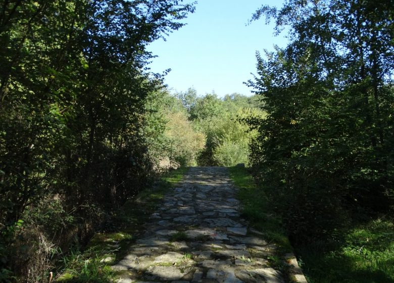 Randonnée « De Saint-Ambroise à Chanzeaux »
