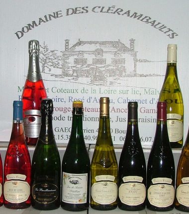 Domaine des Clérambaults – EARL Terrien