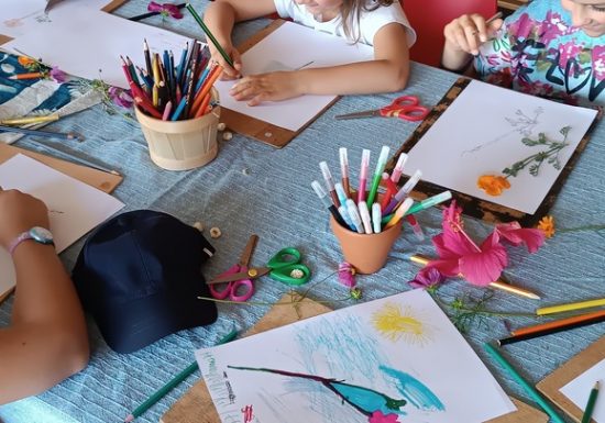 Atelier « Dessiner son herbier » au Jardin Camifolia