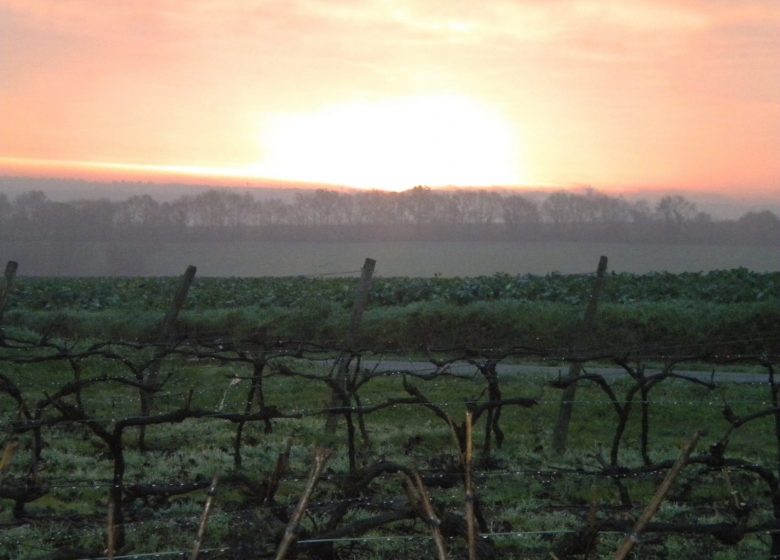 Aire de cmping-car Domaine de la Gironnière