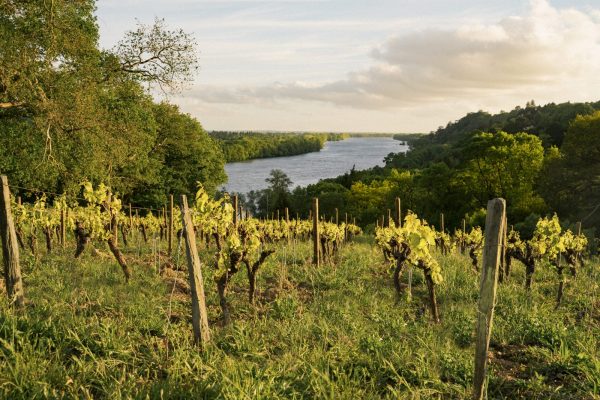 Domaine des Génaudières