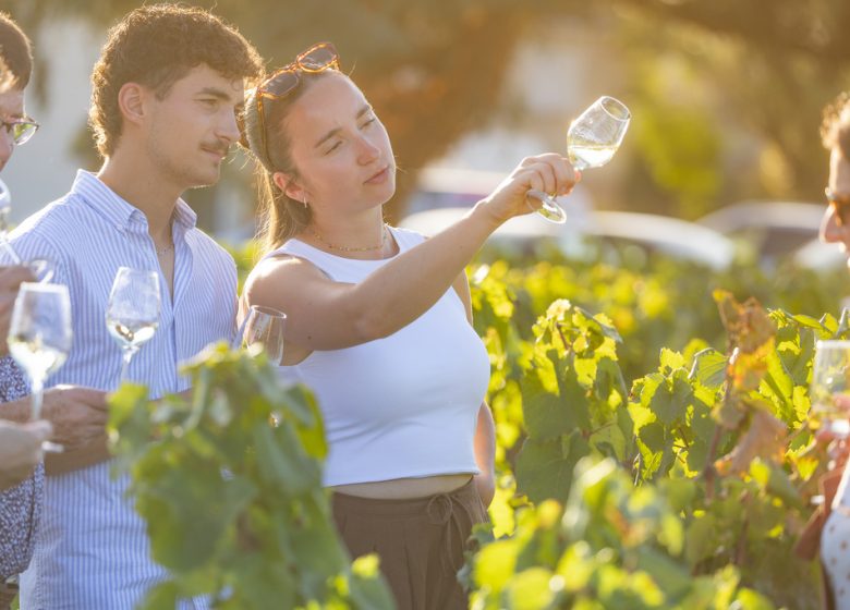 Domaine du Colombier