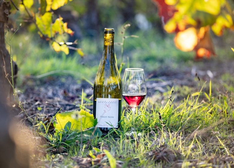 Domaine du Colombier