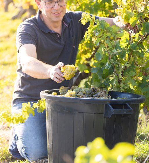 Domaine du Colombier