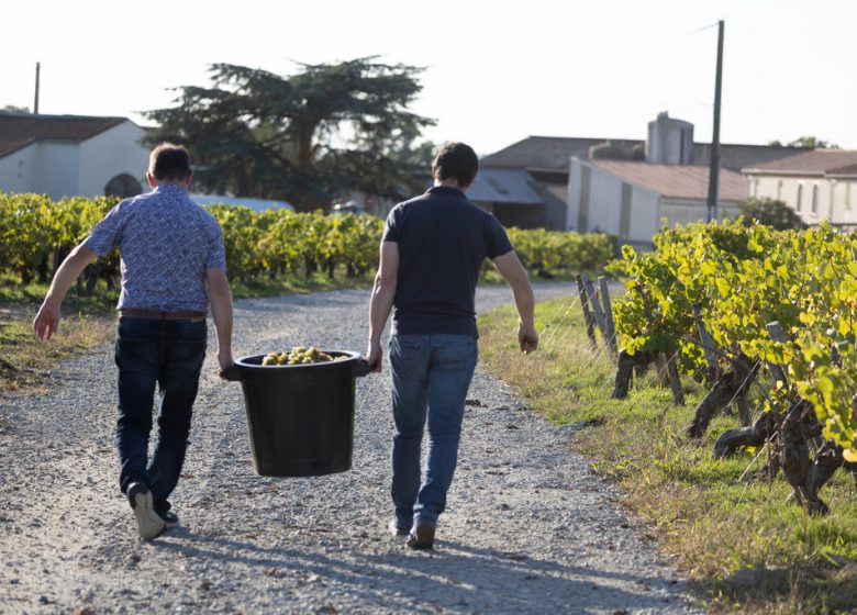 Domaine du Colombier