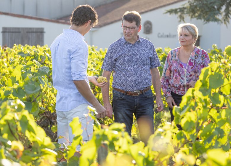 Domaine du Colombier