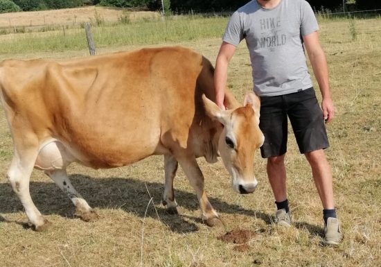 Ferme du Plaisir Doré – EARL des Bottinières