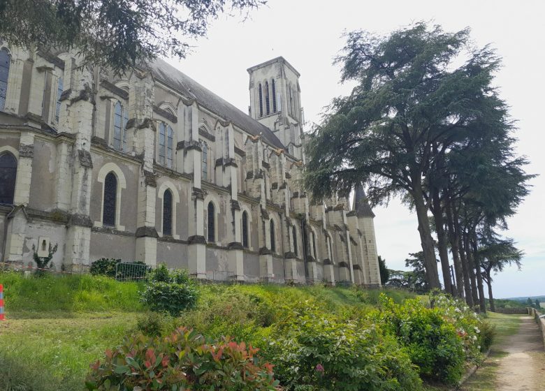 Balade touristique guidée à vélo à Montjean-sur-Loire