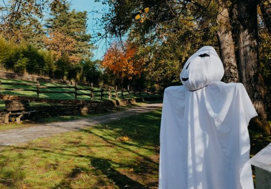 Halloween revient à Natural&rsquo;Parc !