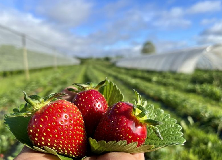 Vergers de La Grande Monnerie