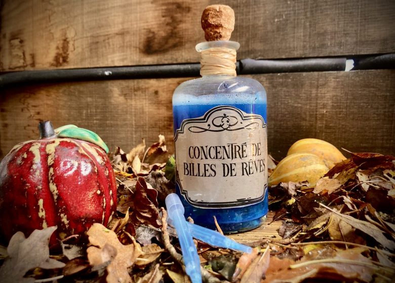 HALLOWEEN : DÉFI POTION À CAP LOIRE