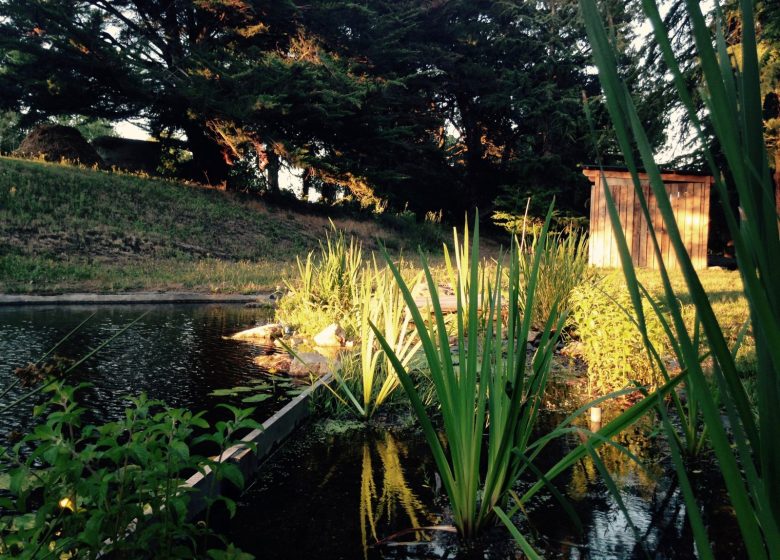 AIRE NATURELLE LES HAUTES HERBES