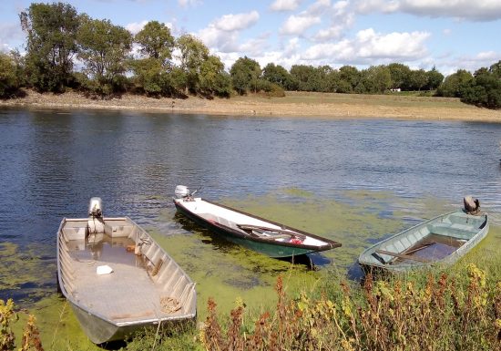 Visite guidée « La vie au bord du fleuve à Saint-Florent-le-Vieil »