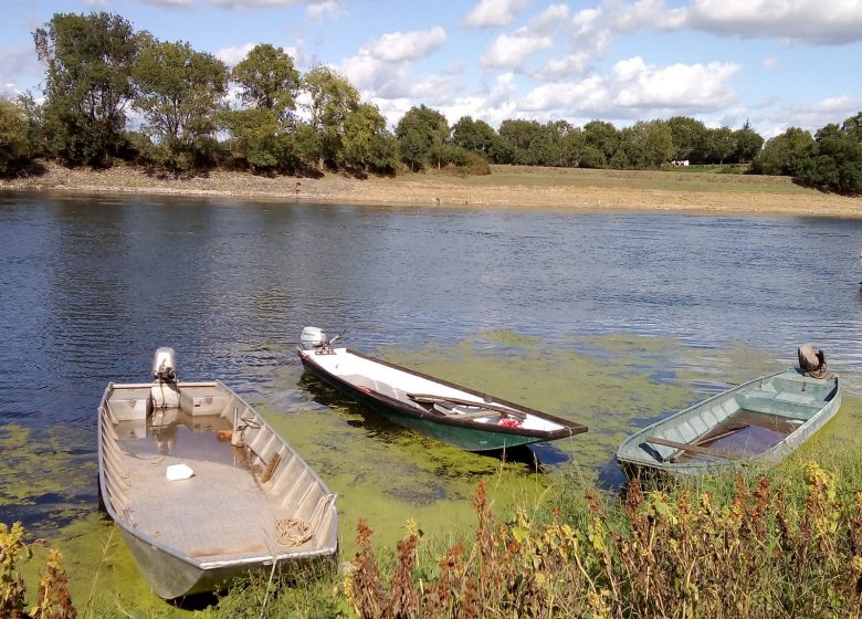 Visite guidée « La vie au bord du fleuve à Saint-Florent-le-Vieil »