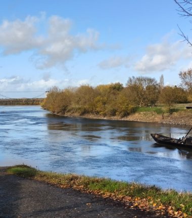 Balade « Bain de soleil » sur la Loire à bord d&rsquo;un bateau traditionnel de Loire avec Fer de Loire à Montjean-sur-Loire (1h)