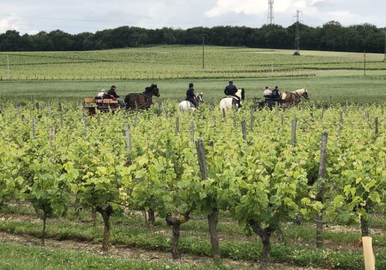 Route Européenne D’Artagnan