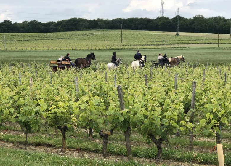 Route Européenne D’Artagnan