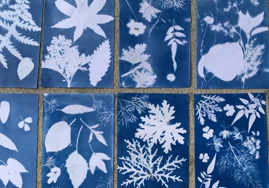 Atelier cyanotype