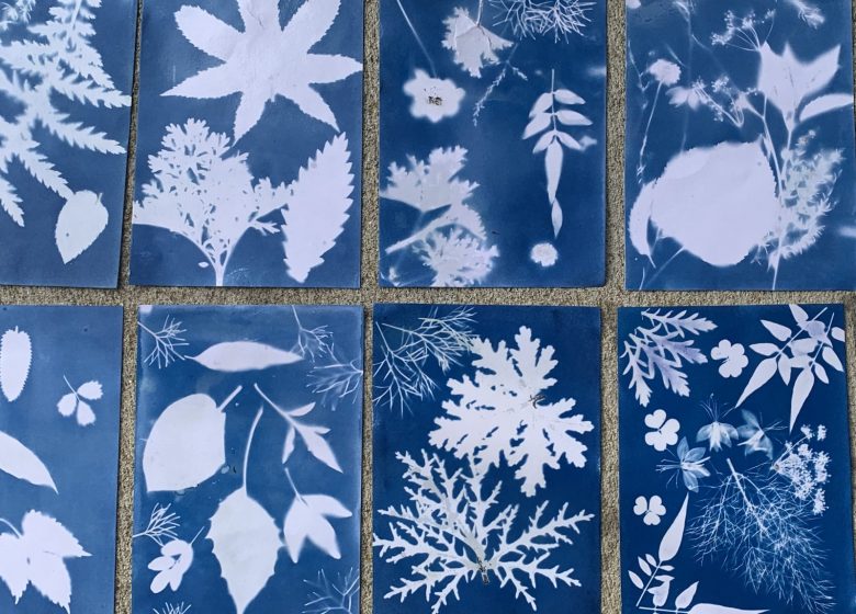 Atelier Cyanotype au Jardin Camifolia