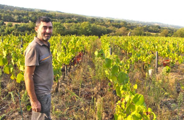 Domaine des Pierres Meslières