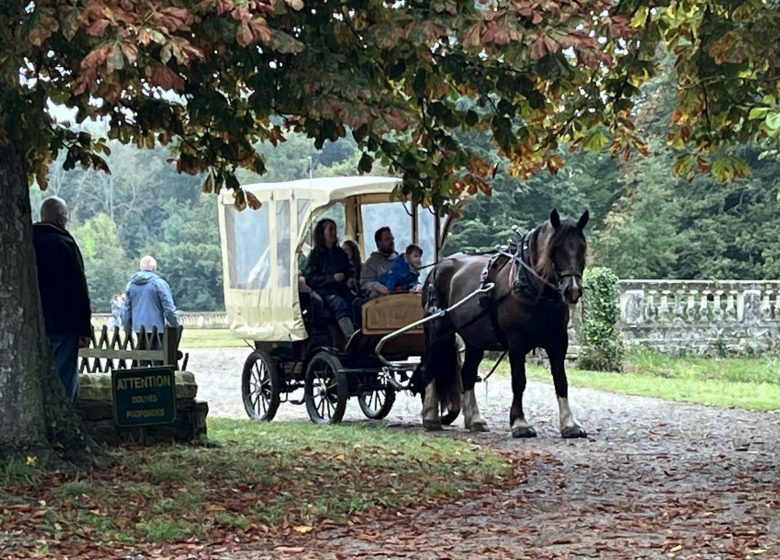Balades à cheval, poney ou en calèche dans la vallée de la Loire et les côteaux avec l&rsquo;assoication A quatre temps