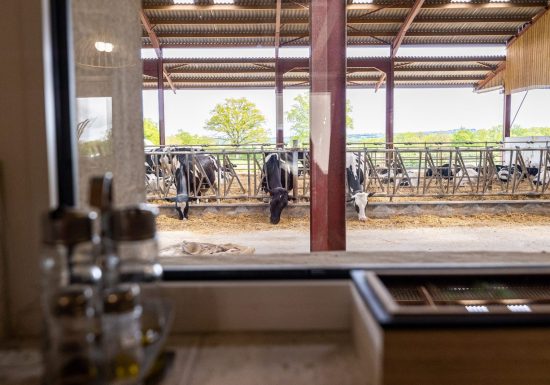 Gîte Étable – Vers Lait Gîtes