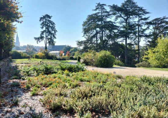 Journées Européennes du Patrimoine au Jardin Camifolia