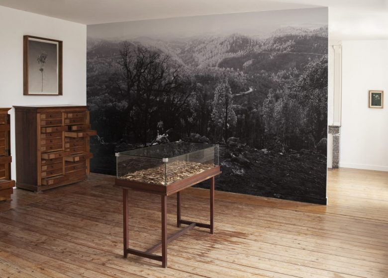 Le MAT – Centre d&rsquo;art contemporain du Pays d&rsquo;Ancenis