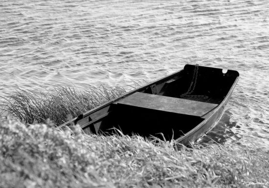 Balade photographique « Spécial noir et blanc » à Ingrandes/Le Fresne