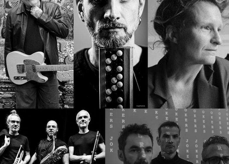 Scènes de pays : Ronja d&rsquo;après le roman d&rsquo;Astrid Lindgren | Vincent Peirani, Sanseverino, Julie Sicard (comédie française), Journal Intime et Jokers