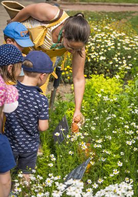 Le jardin des tout-petits au mois de septembre
