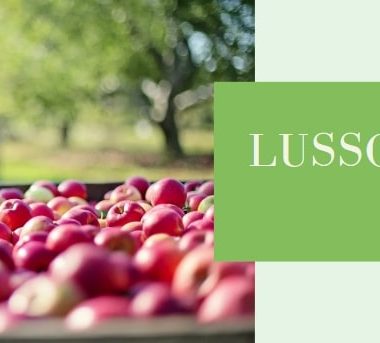 Vergers de la Grande Monnerie