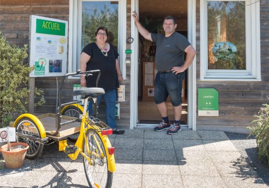 Cabanes sur pilotis du camping de la Guyonnière