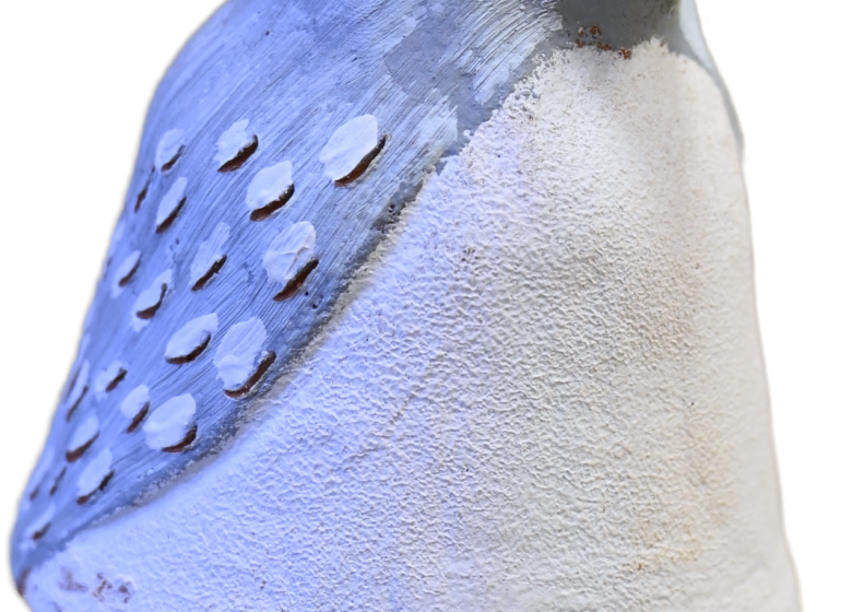 POTERIE | Atelier +8 ans « L&rsquo;oiseau »