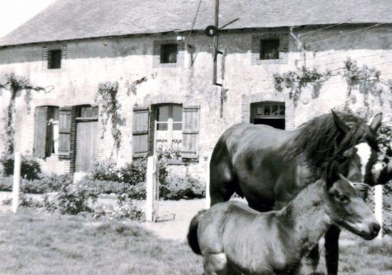 Le quartier des Ayraults