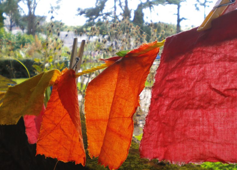 ATELIER TEINTURE VÉGÉTALE AU JARDIN CAMIFOLIA