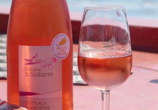 Croisière à destination du marché d&rsquo;Ancenis à bord de la Luce