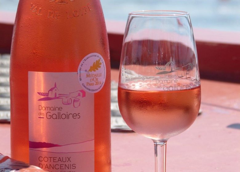 Croisière à destination du marché d&rsquo;Ancenis à bord de la Luce