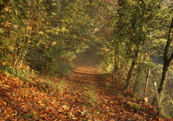 Balade photographique « Les coteaux et la vallée de l&rsquo;Evre » au Fief-Sauvin, avec Sylvie de EMBALLADES PHOTO